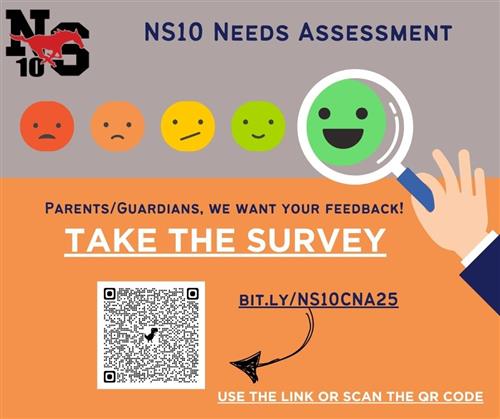 NS10 Needs Assessment